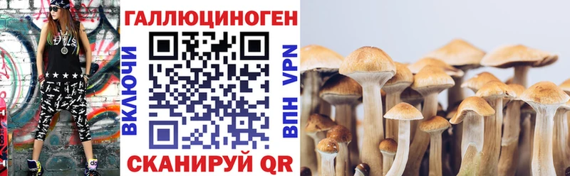 Псилоцибиновые грибы мицелий  дарнет шоп  Псков 